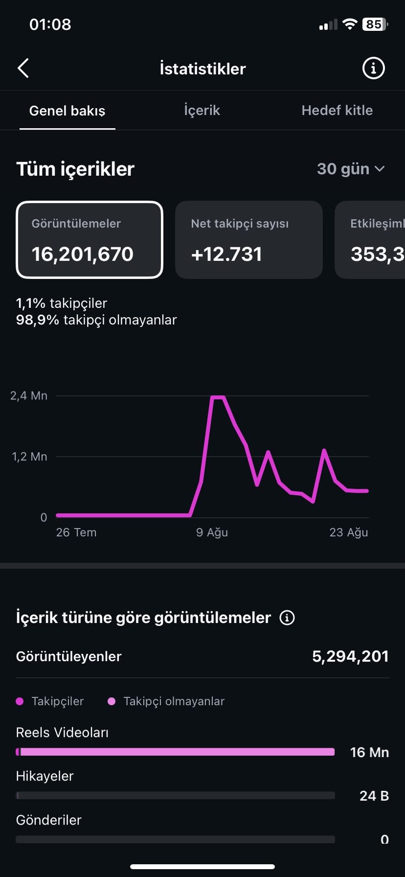 Instagram 30 günlük performans